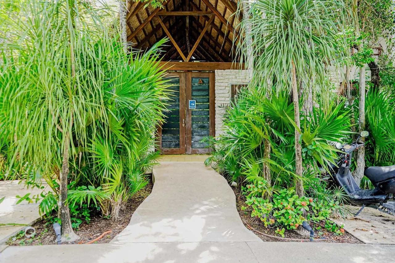 Casa Quantum 5D At Aldea Zama Hotel Tulum
